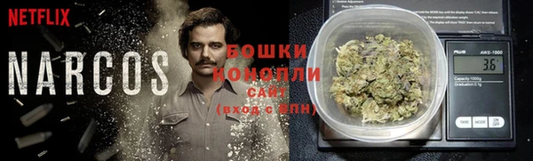 спиды Аркадак