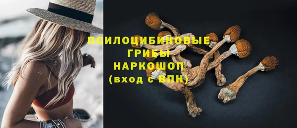 спиды Аркадак