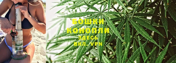спиды Аркадак