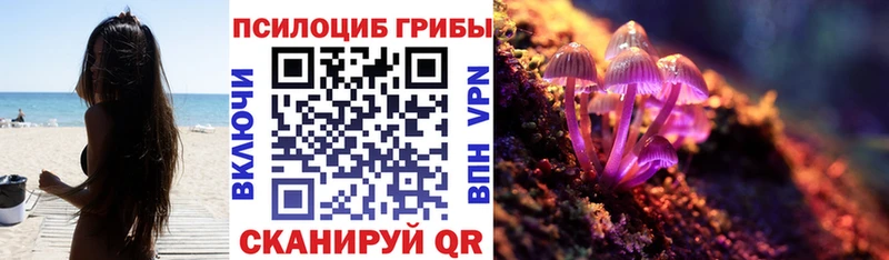 Галлюциногенные грибы Psilocybine cubensis  Снежинск 